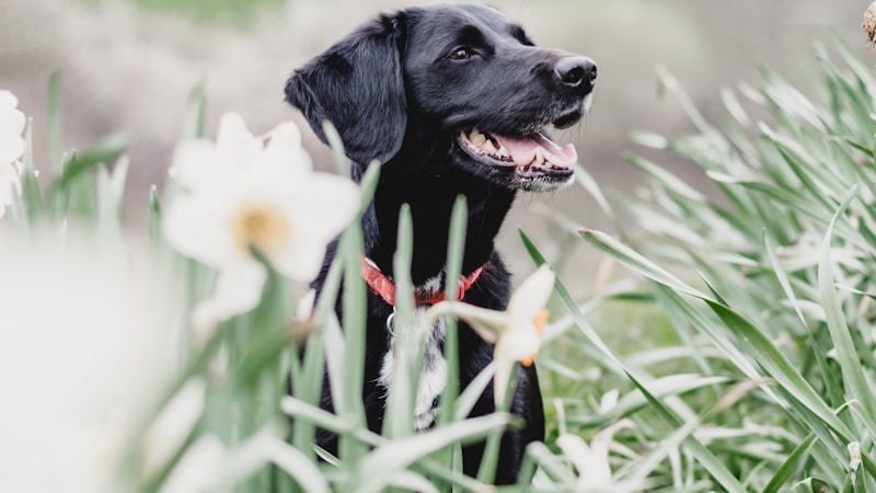 Fire code ceiling compliance